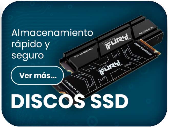 2024-Categoría Discos SSD